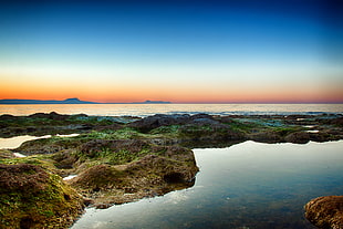 calm water surrounded grass