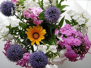 yellow Gazania and purple Hydrangea flowers