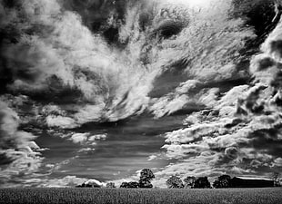 greyscale photo of grass field under cloudy sky during daytime HD wallpaper