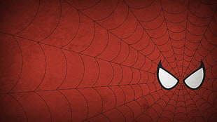Spider-Man wallpaper HD wallpaper