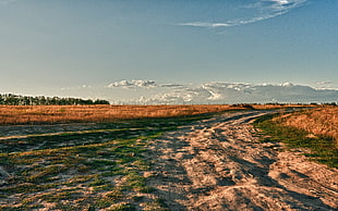 panoramic shot of hay field HD wallpaper