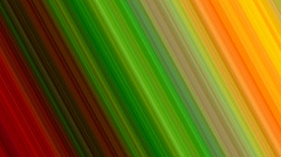 rainbow colors HD wallpaper