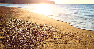 sea shore during daytime