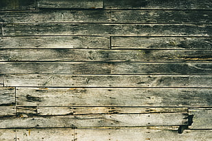 gray wood plank, Wall, Wooden, Stains HD wallpaper