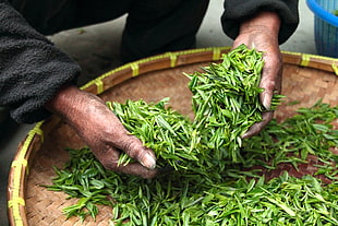 person sitting front of brown woven basket with green leaves