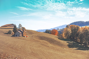 brown sand, forest, farm, mountains, clouds