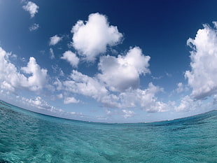 green sea under the blue sky and white clouds during daytime HD wallpaper