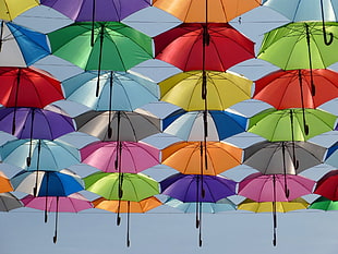 photo of umbrella being hanged on wires during day time HD wallpaper