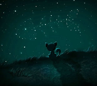 standing cat facing fish bone star illustration, sky, animals, stars, cat