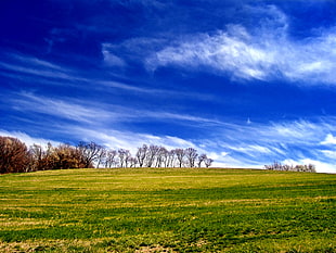landscape photography of green grass field on a hill during daytime HD wallpaper