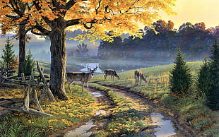 three brown deers standing on ground painting, nature, painting, path, animals