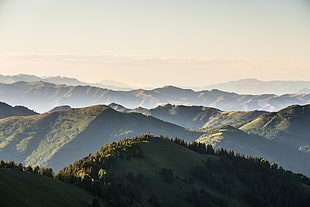 green leafed trees, Wasatch Mountains, Utah, mountains, nature