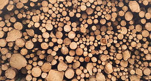 firewood lot, wood, pattern HD wallpaper