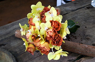 closeup photo of red, yellow, and pink petaled flower