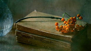 orange fruits on book, vintage, fruit, books, sea buckthorn HD wallpaper