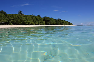 body of water during daytime