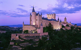 brown castle, architecture, nature, landscape, castle