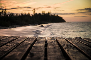 brown wooden dock, coast, closeup, sea, sand