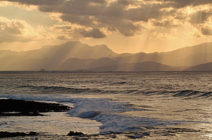 rays of sun hitting body of water