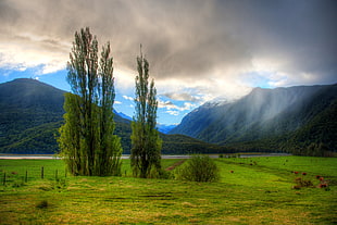 Lake Coleridge New Zealand HD wallpaper