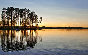 tree silhouette, lake, sunset, water, reflection HD wallpaper