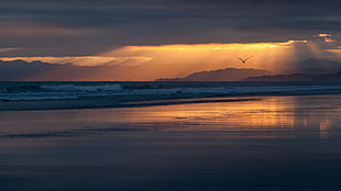 black and brown wooden bed frame, sunset, landscape, beach, nature