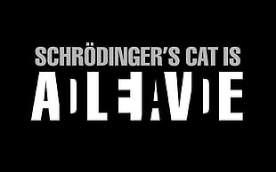 black background with schrodingers text overlay, science, quote, text, Schrodinger HD wallpaper