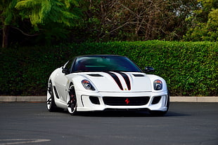 white and black Ferrari sports car parked near green bush