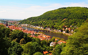 brown and white houses, nature, Neckar River, Germany, cityscape HD wallpaper