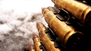 close up photography of ammunition HD wallpaper