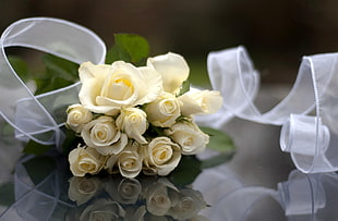 photo of bouquet of yellow roses with white ribbon HD wallpaper