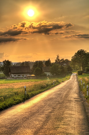 yellow sun photography, sunset road HD wallpaper