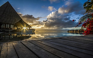 cabin with pathway