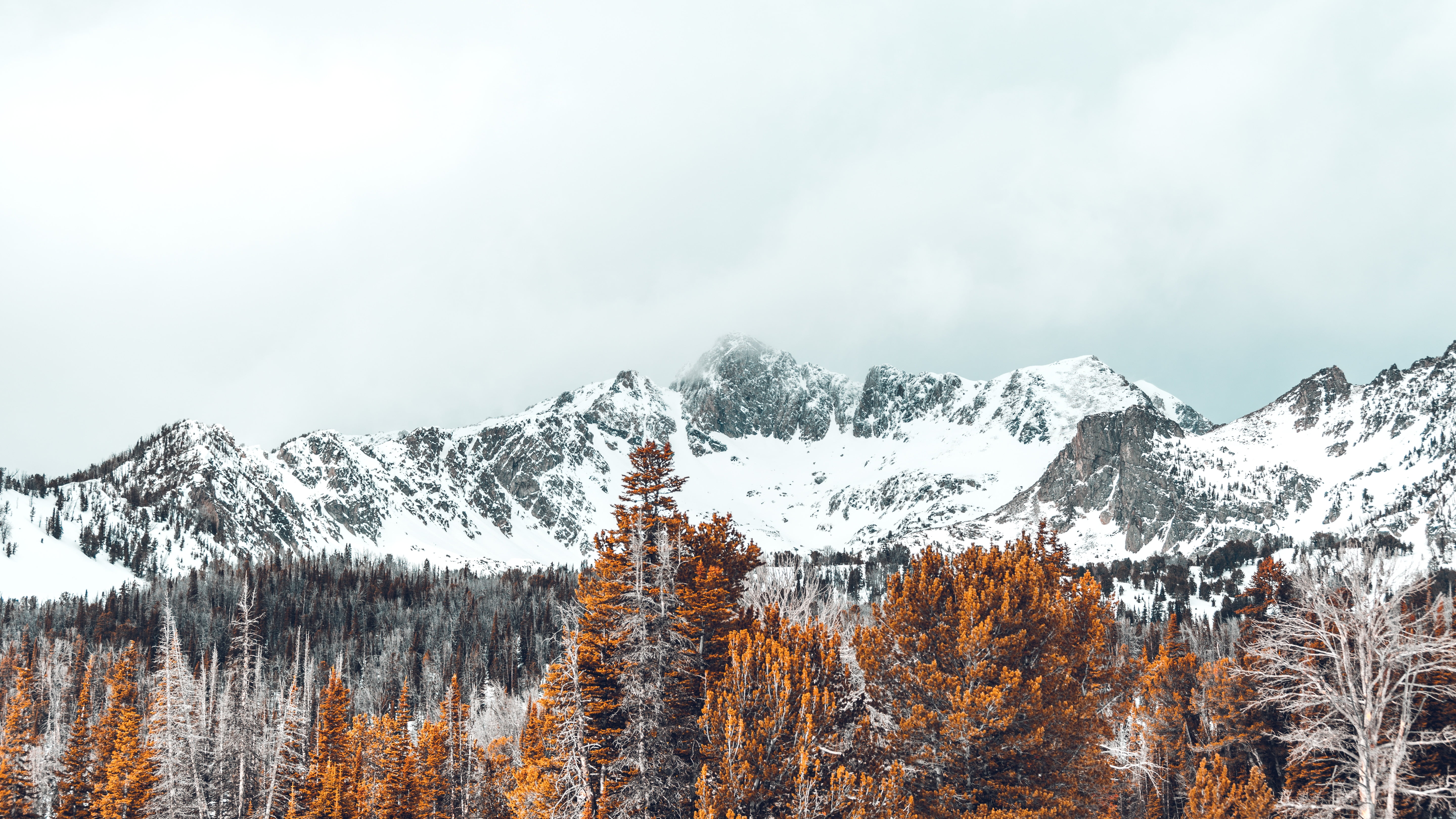 snow covered mountain, Mountains, Trees, Snow-covered