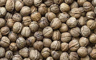 brown walnuts lot
