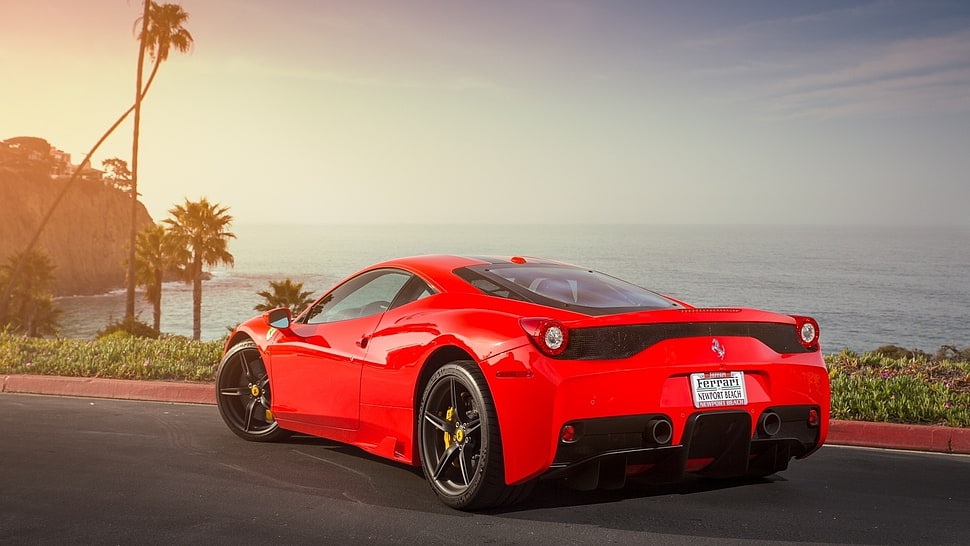 red Ferrari 458 Italia coupe, Ferrari, red cars, palm trees, car HD wallpaper