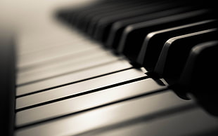 white piano key, piano, depth of field, monochrome, closeup HD wallpaper