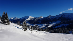 white snow terrain and mountain, nature, snow, mountains, forest