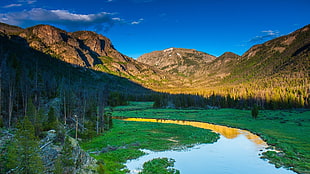 green trees, landscape, forest, mountains, river