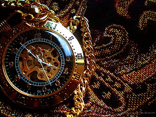 round gold-colored skeleton pocket watch, steampunk, watch HD wallpaper