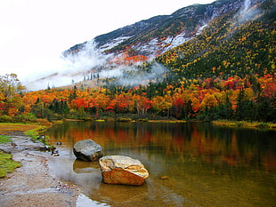 two grey and black stones on the river HD wallpaper