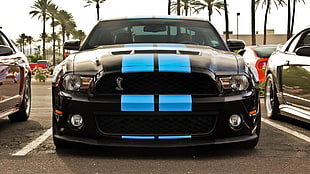 black car, Shelby GT500, Ford Shelby GT500, car HD wallpaper