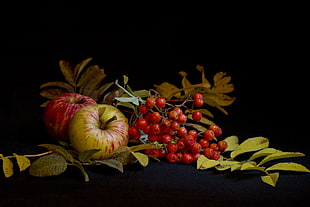 two ripe apples, red berries and green leaf plant] HD wallpaper