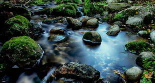 green and black stones on clear calm water during daytime, el rio