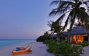 two brown wooden beach lounge chairs, island