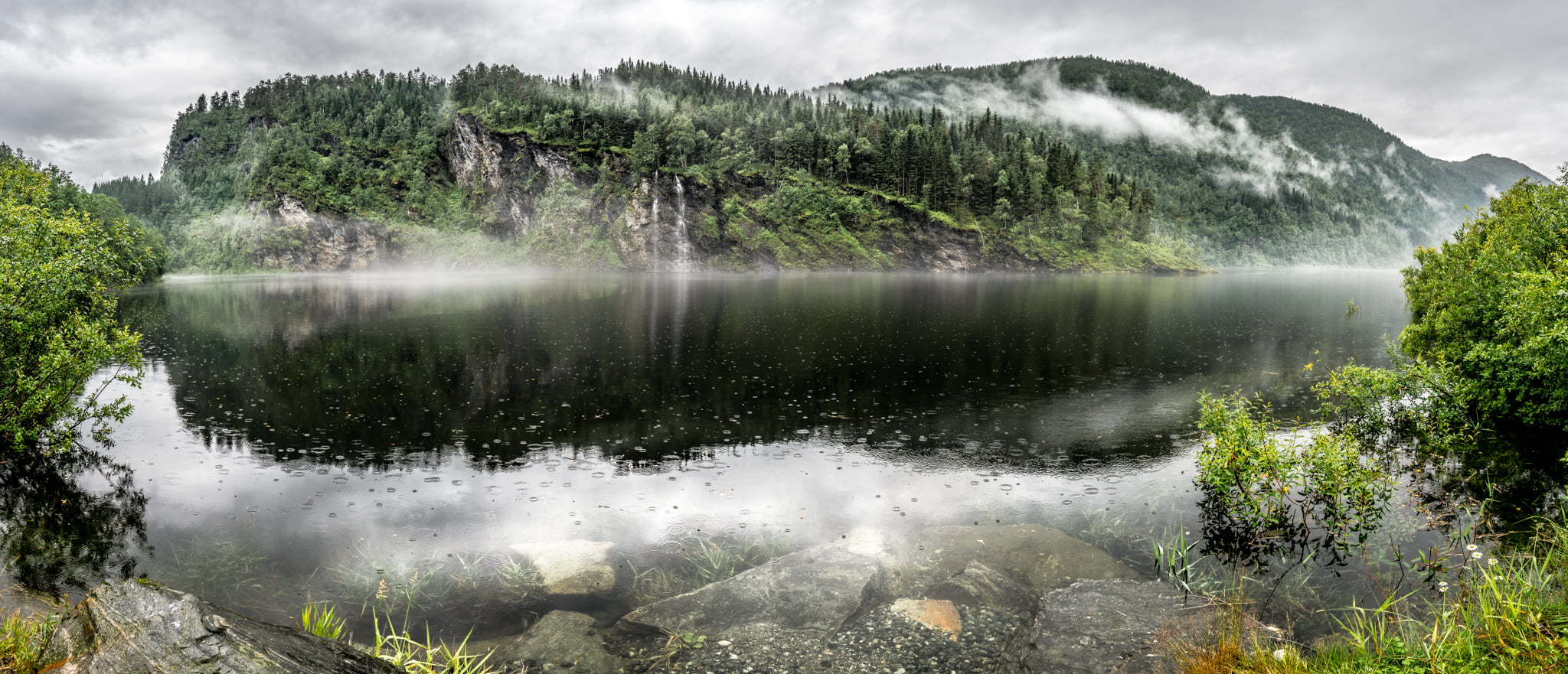 green trees in mountain beside body of water, norway