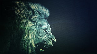 lion illustration, lion, minimalism, animals HD wallpaper