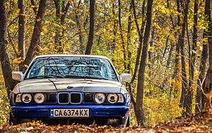 blue vehicle, car, BMW, blue cars, BMW E34