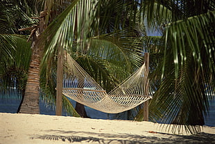 white hammock near sea HD wallpaper