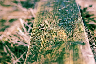 brown wood plank, macro HD wallpaper